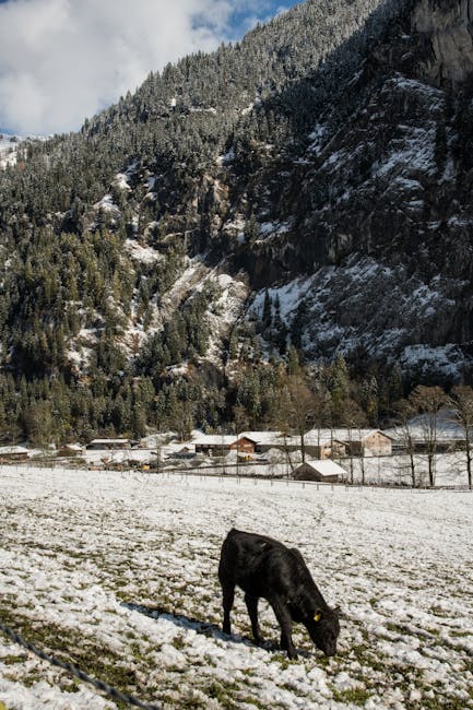Swiss Alps landscapes, mountain scenery, travel destinations