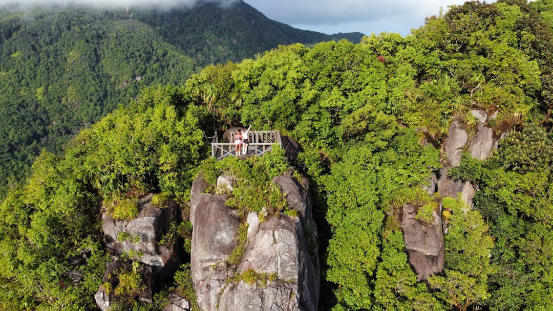 Discover Your Perfect Seychelles Vallée de Mai Nature Reserve