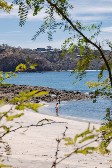 Costa Rica Travel Guide scenic landscape of tropical rainforest and coastline