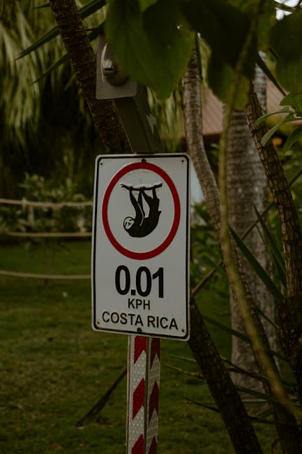 Costa Rica Travel Guide Tortuguero National Park