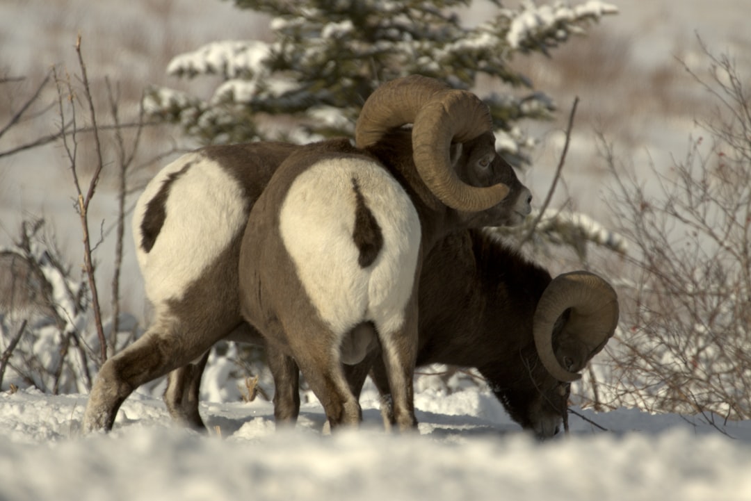 Explore North America's Most Travel destinations, natural parks, city landmarks, scenic views